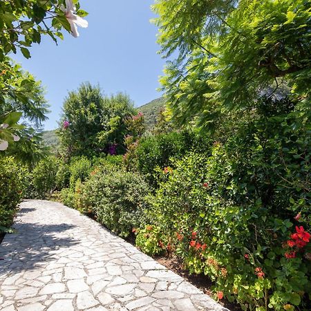 Ionian Garden Villas - Villa Pietra ベニテス エクステリア 写真