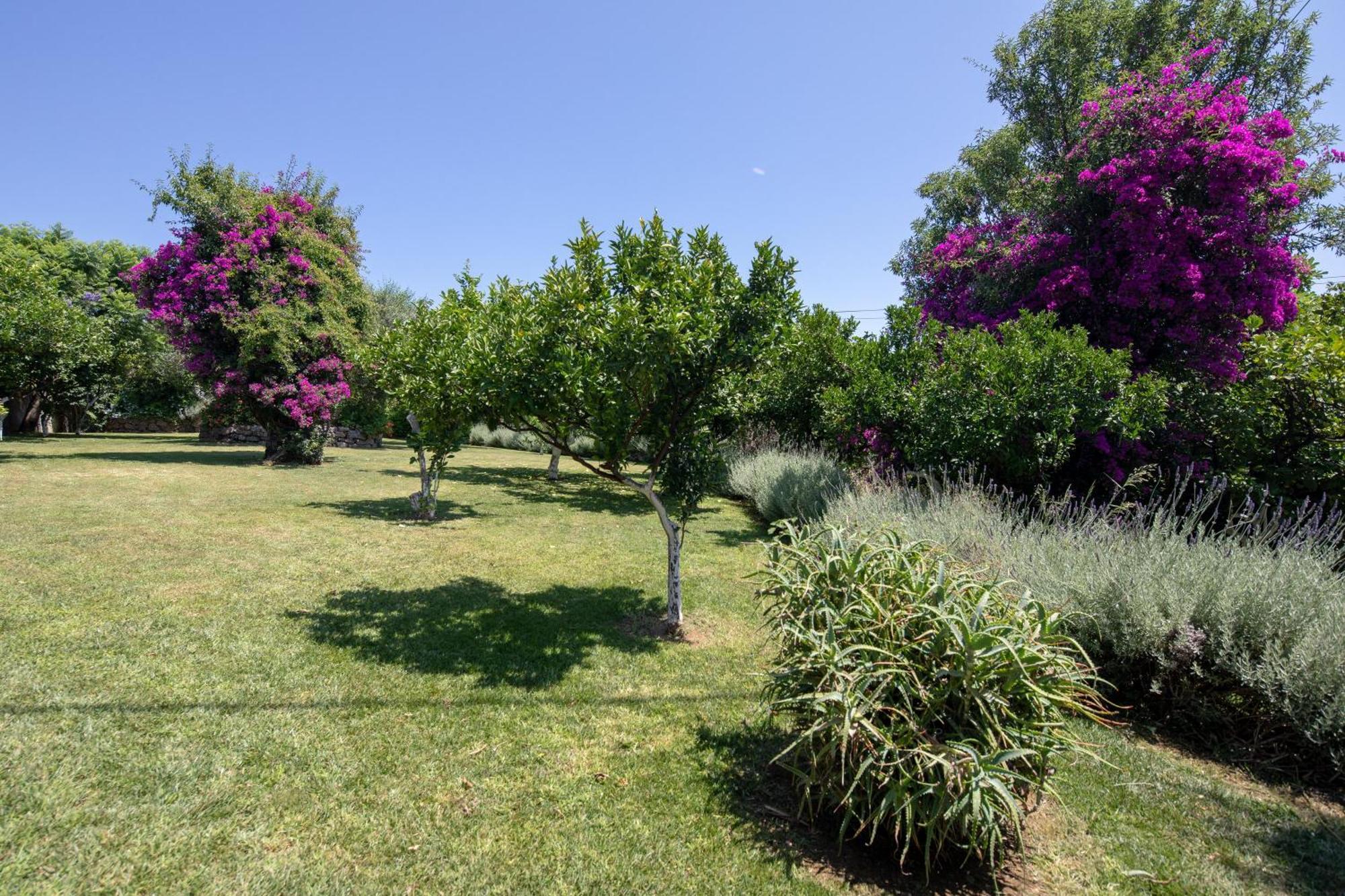 Ionian Garden Villas - Villa Pietra ベニテス エクステリア 写真