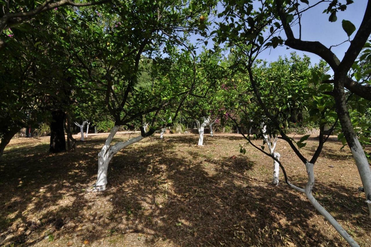 Ionian Garden Villas - Villa Pietra ベニテス エクステリア 写真