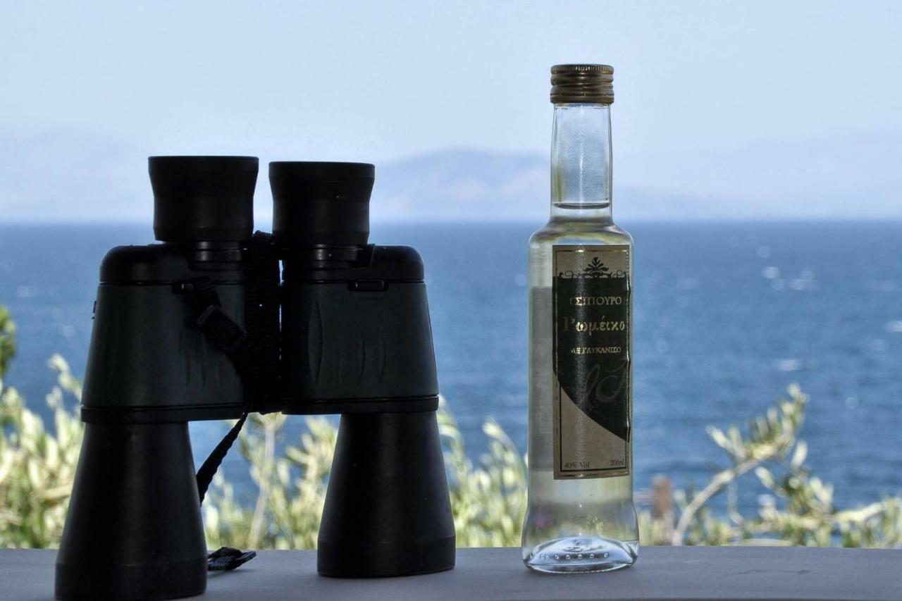 Ionian Garden Villas - Villa Pietra ベニテス エクステリア 写真