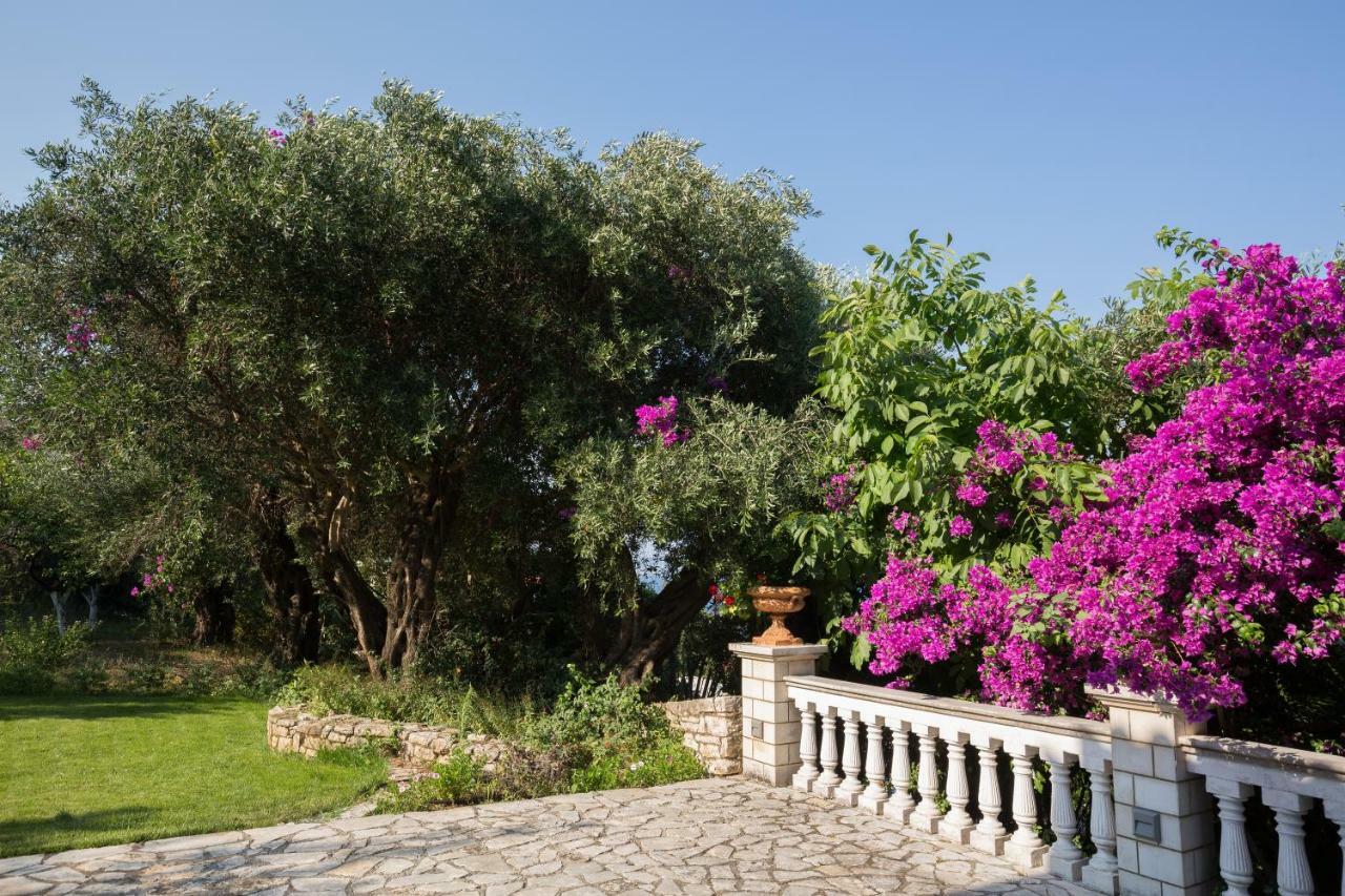 Ionian Garden Villas - Villa Pietra ベニテス エクステリア 写真
